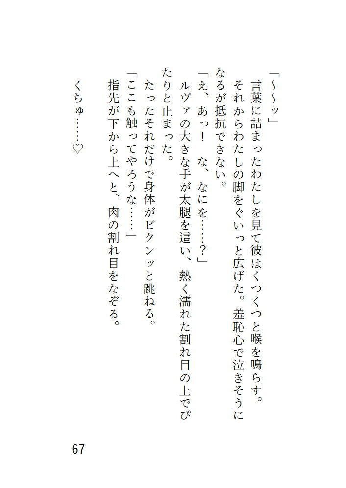 サンプル画像