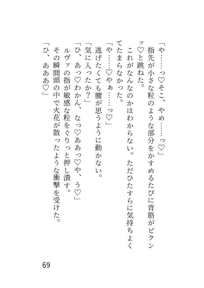 サンプル画像