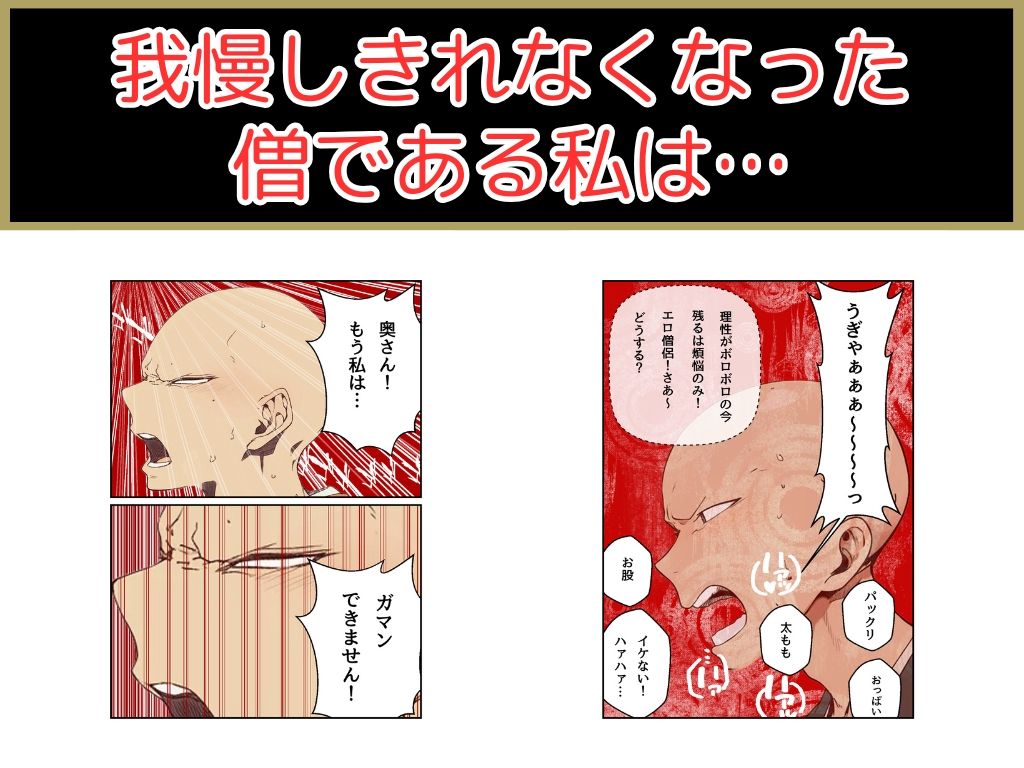 サンプル画像6:僧です！困ります！奥さん！(ヘレネー) [d_636939]