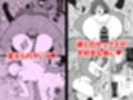 人間嫌いの女の子が中出しを受け入れるまで