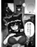 マイファーストフォックス2