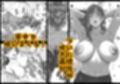 ママが拾ってきたホームレス爺ッ☆