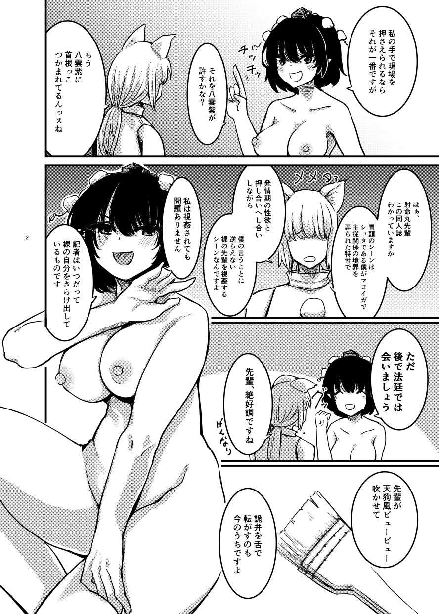 サンプル画像2:裸の家政婦射命丸文(幻想影燈籠) [d_643266]