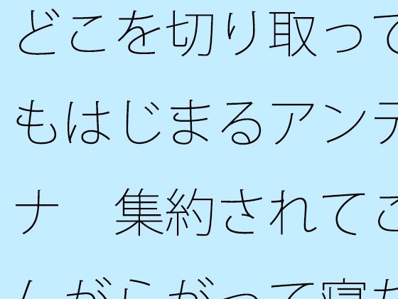 どこを切り取ってもはじまるアンテナ  集約されてこんがらがって寝た昨夜から朝【サマールンルン】