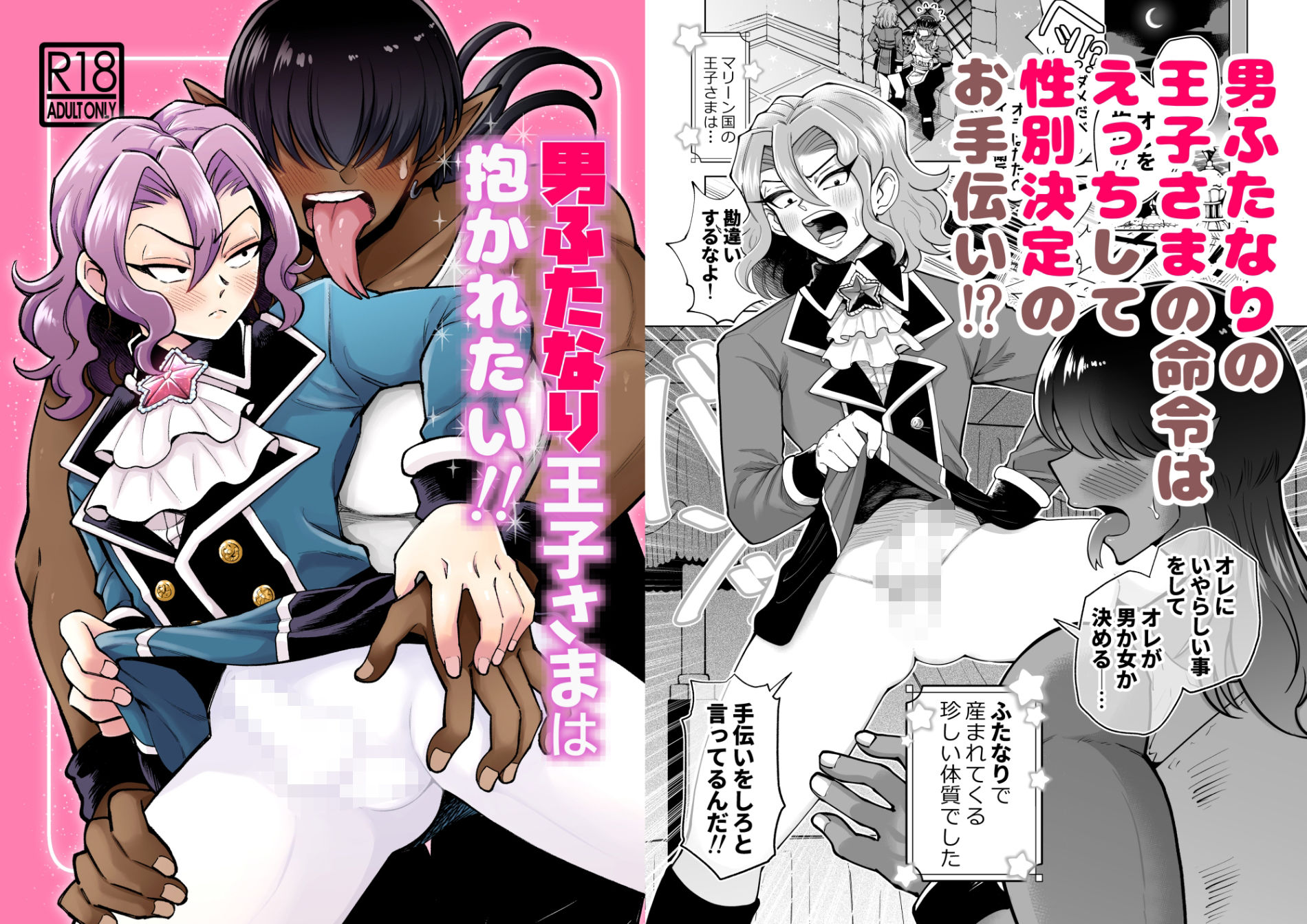 男ふたなり王子さまは抱かれたい!! 画像1