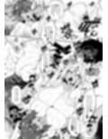 俺  異世界で魔法使いになる  総集編