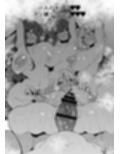 俺  異世界で魔法使いになる  総集編
