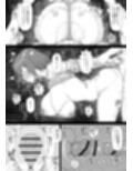 根緒先生の選択