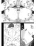 根緒先生の選択