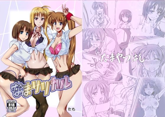 なまリリカル【なまやつはし】