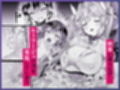 Vanishing Reality3 〜奏星嬌辱〜
