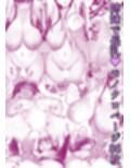 長乳姉妹のDosukebeMemories