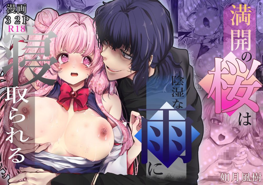 満開の桜は陰湿な雨に寝取られる