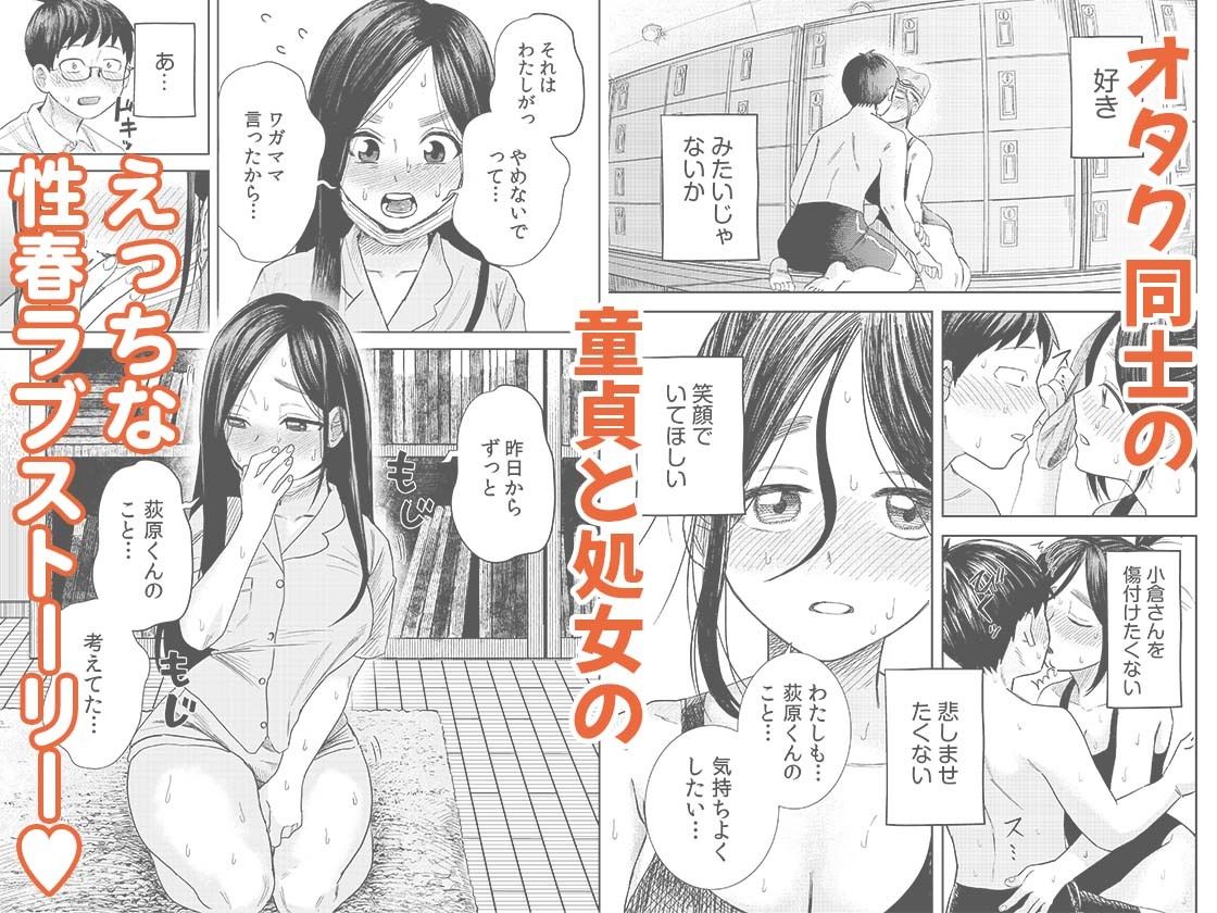 オタク同士の童貞処女がはじめてのセックスをする話 11