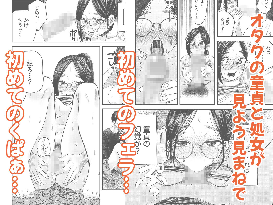 サンプル画像3:オタク同士の童貞処女がはじめてのセックスをする話 1(自慰後援会) [d_646877]