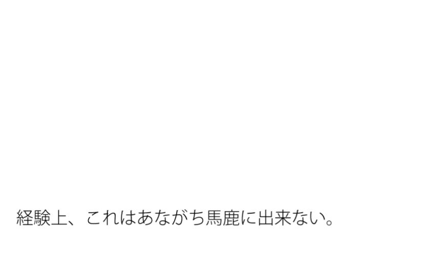 小雨が降る夏の朝  見えていないところも・・の方が良い 画像1