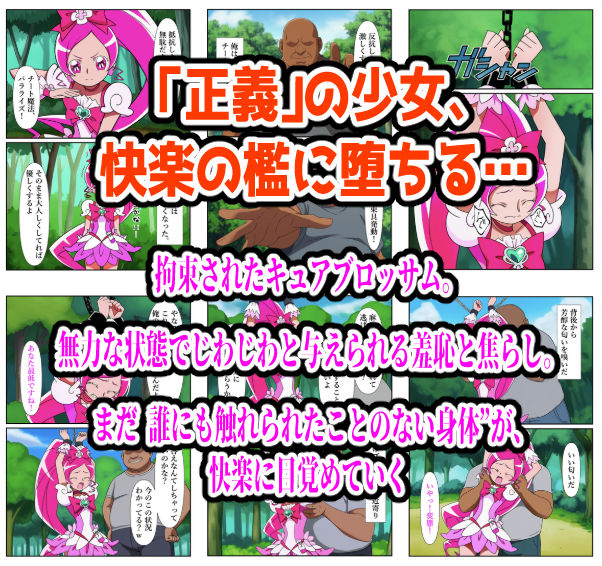 プリキュア同人 キュアブロッサム拘束×種付け調教 画像1