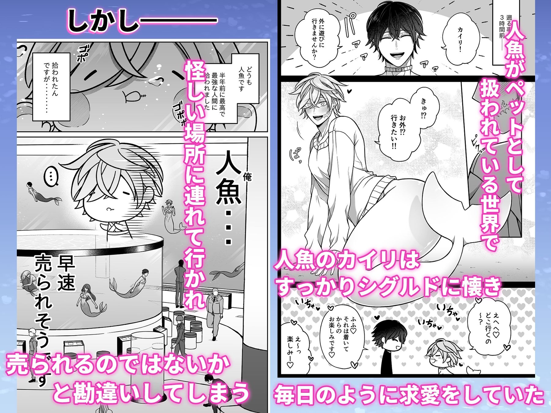 懐いた人魚と子作り交尾をする話 無料画像1