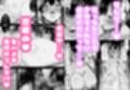 カノママ〜えっちさせてくれない彼女よりさせてくれるおかあさん〜