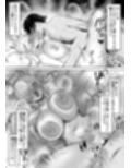 サンプル4