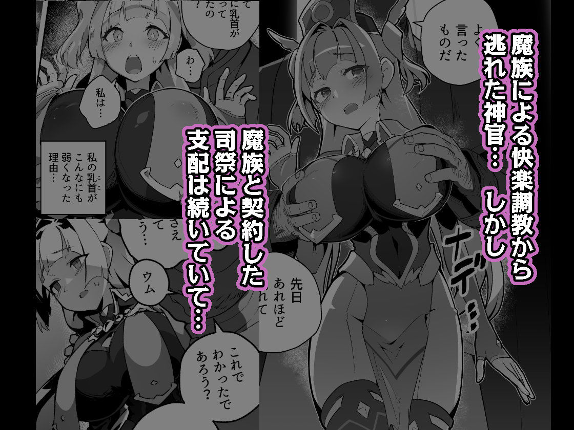 異花4 聖神官淫乳玩弄廻牢 画像1