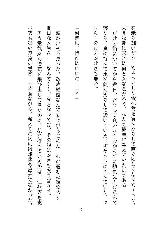 性拷問器具を作るイケメン武器屋に拾われた男爵令嬢、毎夜ごとの地下室で連続絶頂を繰り返し快楽に堕ち壊されていく 無料画像8