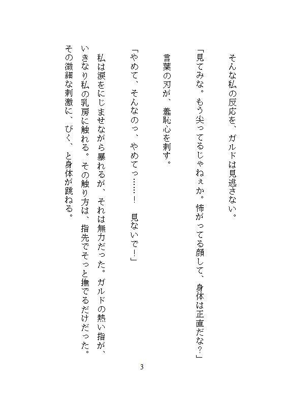 性拷問器具を作るイケメン武器屋に拾われた男爵令嬢、毎夜ごとの地下室で連続絶頂を繰り返し快楽に堕ち壊されていく 無料画像9