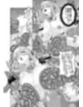 対●忍シ●ル 触手淫獄編