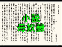 小説  母奴●