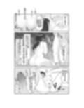 墜落の保証人