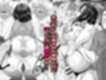 何してもいい人妻の穴という穴でドスケベ交尾をする