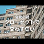 クローゼットで交わす匂い  前編