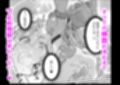 魔女の快楽研究所2