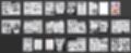 母はおしまい