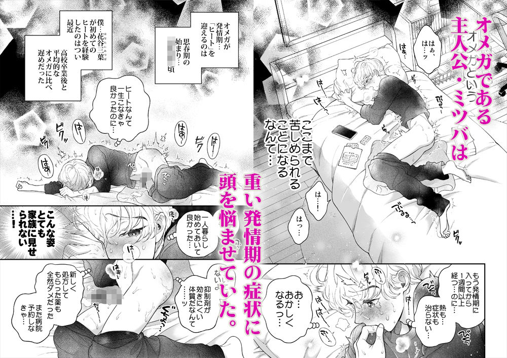 僕を抱く君はアルファ〜Ωの僕が好きになった人はβで、その弟はαで…。〜 無料画像1