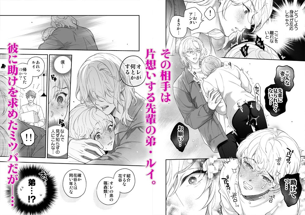 僕を抱く君はアルファ〜Ωの僕が好きになった人はβで、その弟はαで…。〜 無料画像4