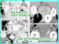 こいつの母ちゃんいいチチしてんなディルドで妄想パイズリする姿をキモデブ無職に目撃された巨乳妻は肉棒を咥えさせられ挟まされぶち込まれて手マンでイかされそれで下着がエロくなるはずがない