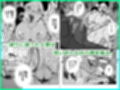 こいつの母ちゃんいいチチしてんなディルドで妄想パイズリする姿をキモデブ無職に目撃された巨乳妻は肉棒を咥えさせられ挟まされぶち込まれて手マンでイかされそれで下着がエロくなるはずがない
