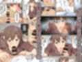 家出した人妻を焦らしたら襲われた話