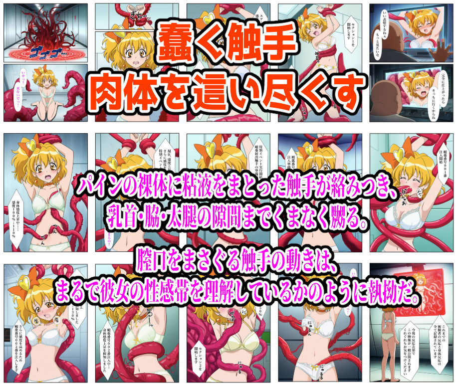 【エロ漫画】絶頂実験室―脱出不可能の仮想空間で監禁・拘束されキュアパインが完全敗北するまで―【フルカラー250P】(しんくろん) d_658223