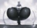 おれママ20 モノクロ版