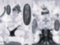 おれママ20 モノクロ版