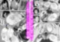 底辺モブだった俺が壁尻牧場に就職した結果2