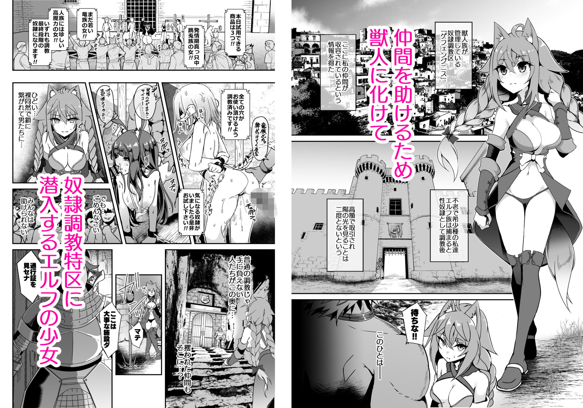 サンプル画像1:逃亡ELF11(白金堂) [d_659188]
