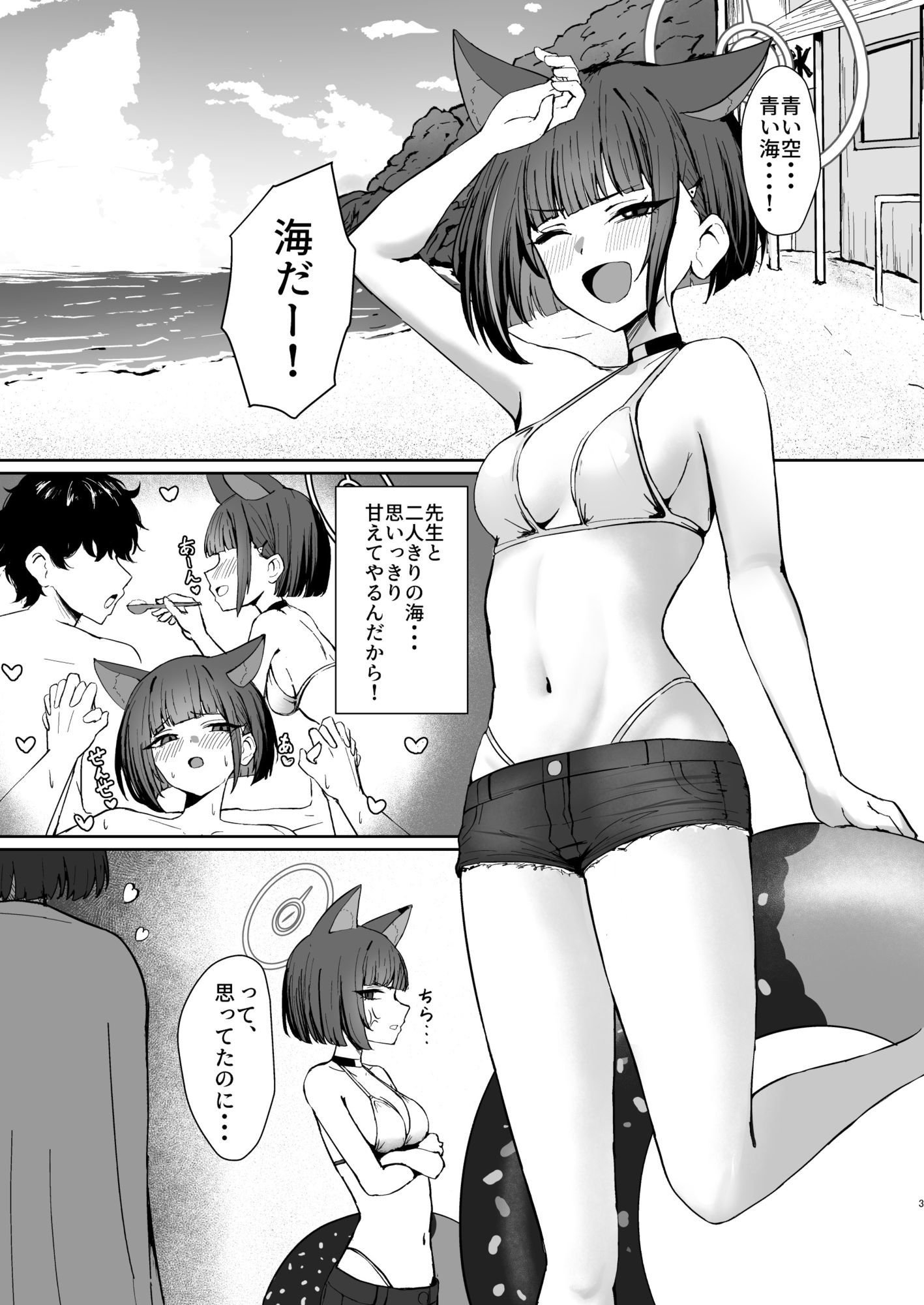 猫の海乱 画像2