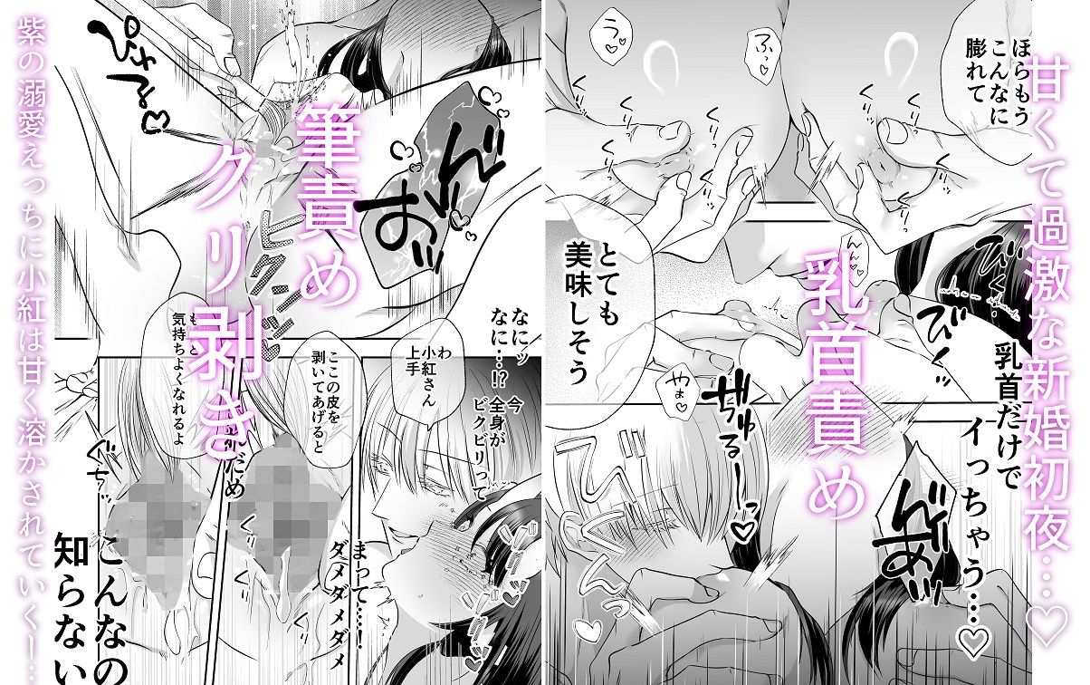 引き篭もり鬼姫様は押しかけ旦那に溺愛される 5枚目