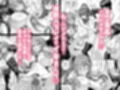 デカチンになったら巨乳幼馴染とその巨乳友達たちが発情してハーレムになった！！5ギャルとわくわく林姦学校
