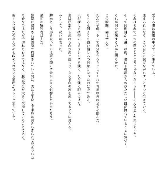 サンプル画像4:GHOST FAKER(えちちどっとこむ) [d_660732]