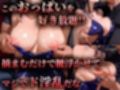 ヒロイン風俗〜ピンサロ嬢が堕ちるまで〜ワ〇ピース ロビン編