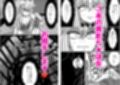 性奴●堕ちお姉ちゃんと三匹の♂豚